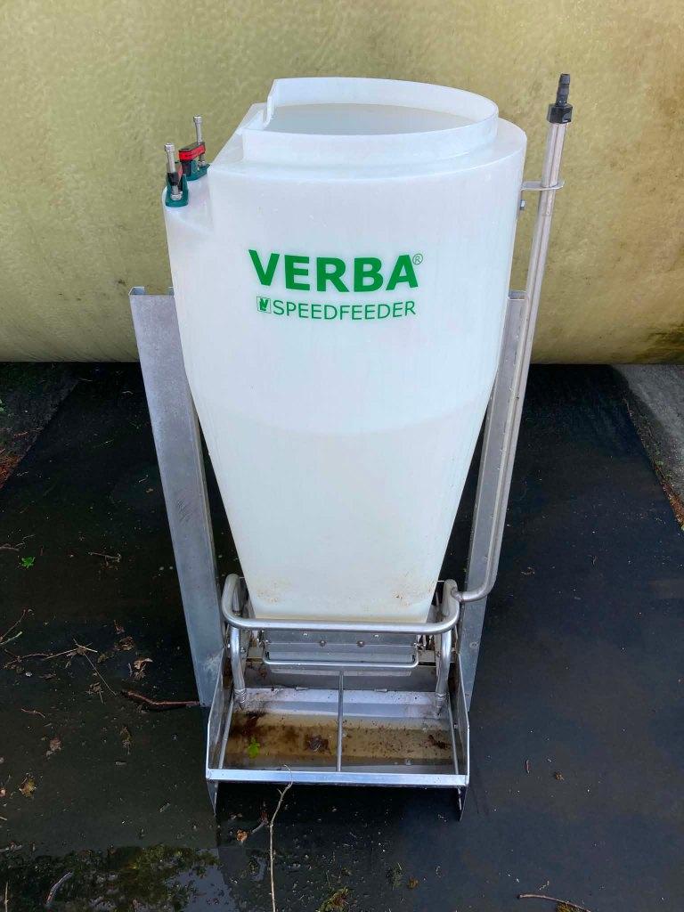 verba voerbak, Meerdere dieren, Varken