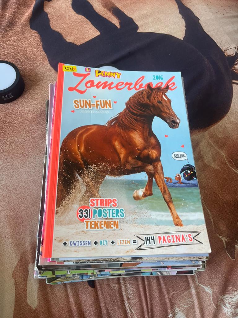 Stapel pennys, Boeken, Tijdschriften en Kranten, Ophalen of Verzenden, Zo goed als nieuw, Overige typen