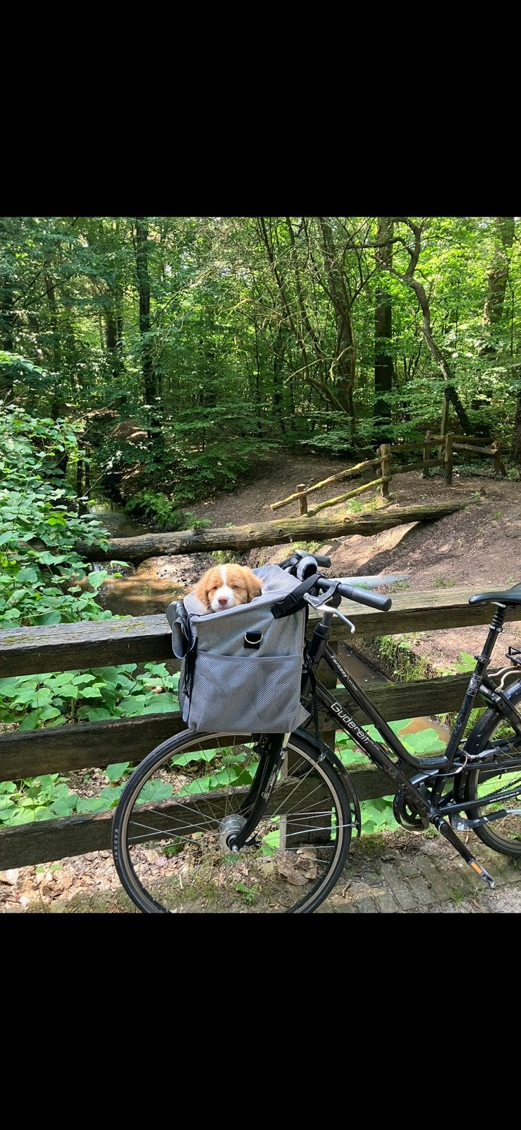 Fietstas voor hond, Ophalen of Verzenden, Zo goed als nieuw