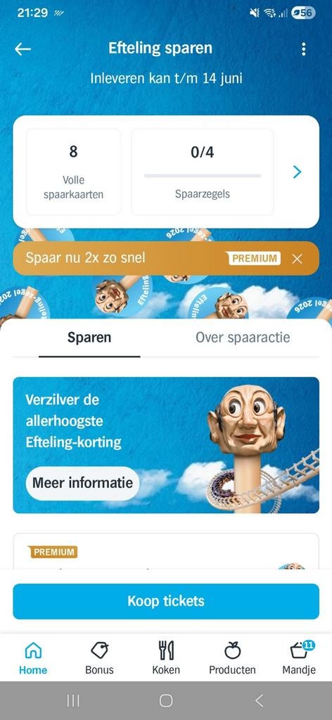 GRATIS Efteling spaarkaarten - wie maak ik er blij mee?, Ophalen of Verzenden, Nieuw, Overige typen