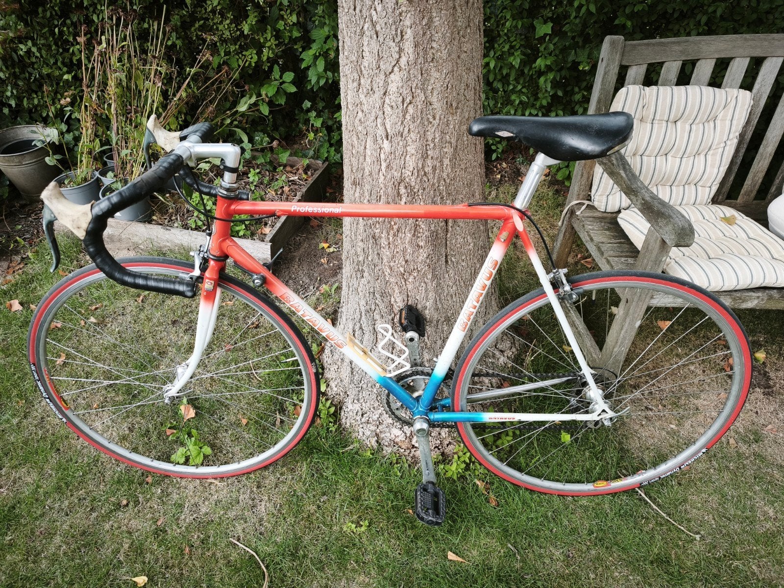 Batavus Professional Wielrenfiets, Ophalen, Gebruikt, Overige typen