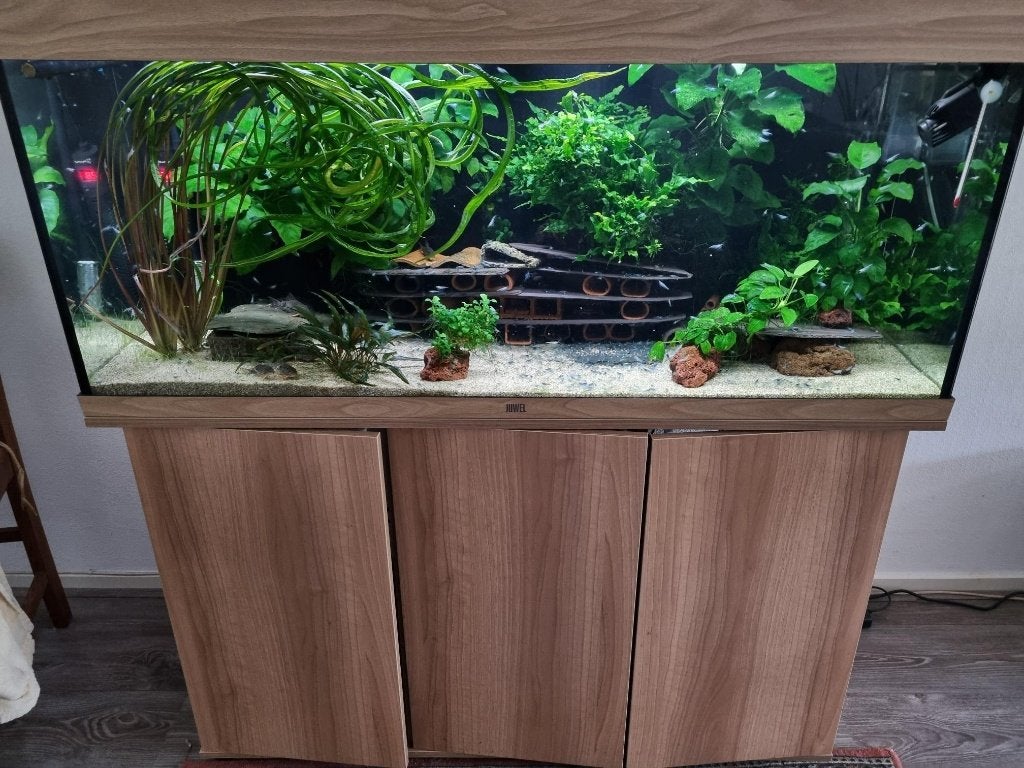 Juwel Rio 240 (kale bak met techniek), Ophalen, Inclusief deksel, Zo goed als nieuw, Leeg aquarium