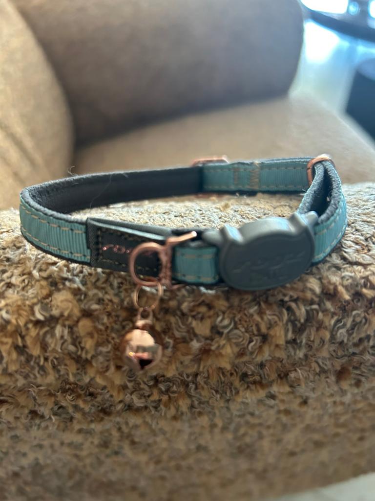 Halsbandjes en tuigje, Ophalen of Verzenden, Nieuw