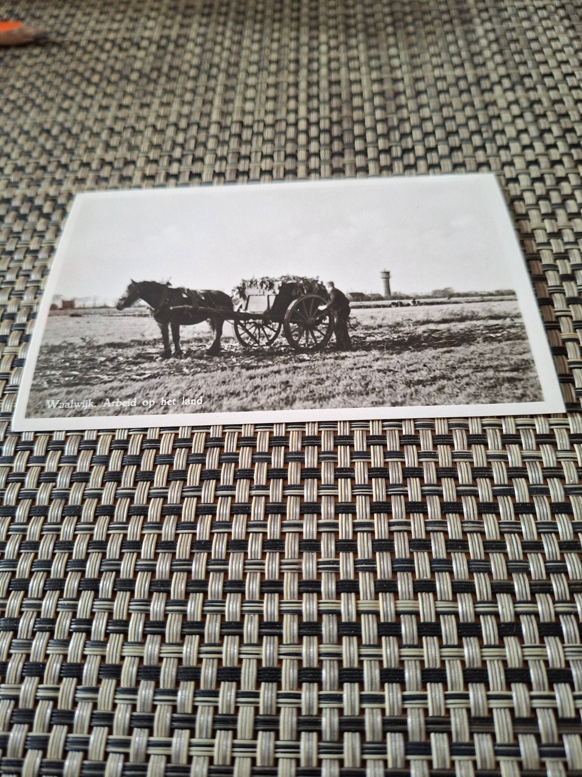 Waalwijk, Arbeid op het land paatd  met kar boerenleven, Verzamelen, Ophalen of Verzenden, 1960 tot 1980, Gelopen, Noord-Brabant