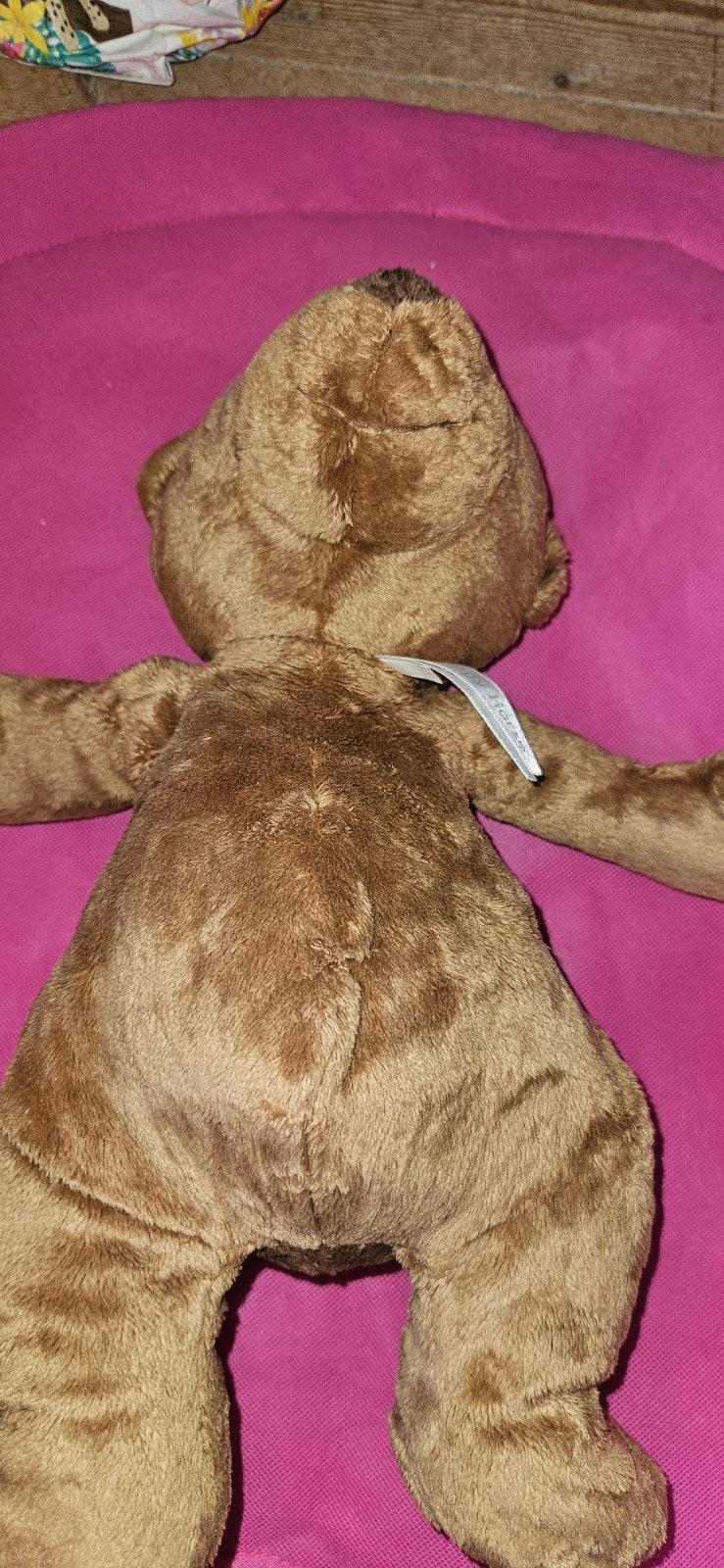 happy horse beer, Beer, Happy Horse, Ophalen of Verzenden, Zo goed als nieuw