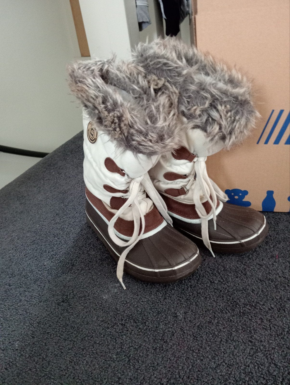 Snowboots maat 38, Kleding | Dames, Ophalen of Verzenden, Gedragen, Maat 38/40 (M), Overige typen