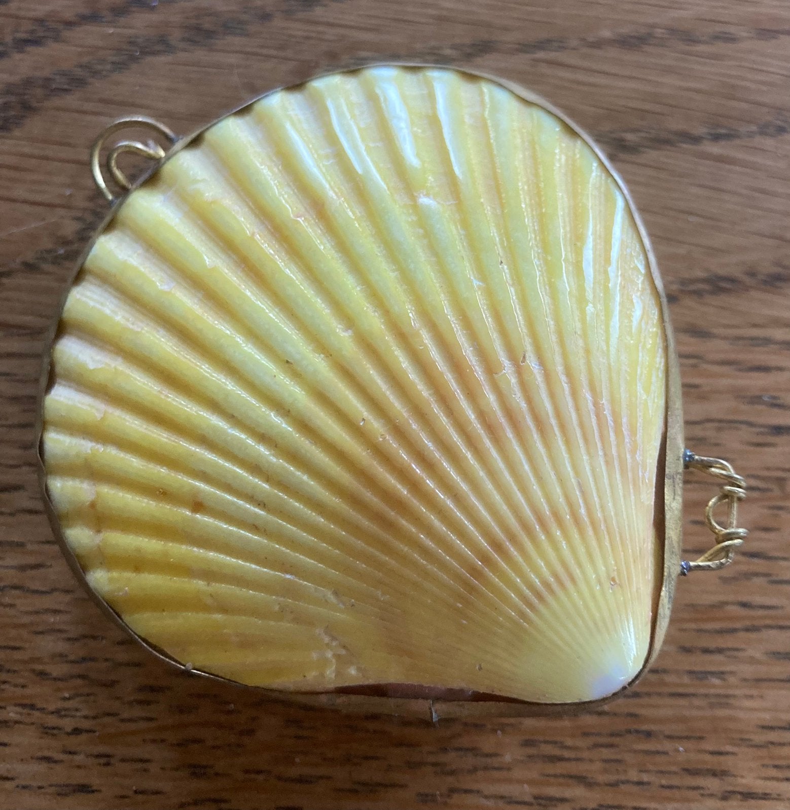 Schelp in vatting, Ophalen of Verzenden