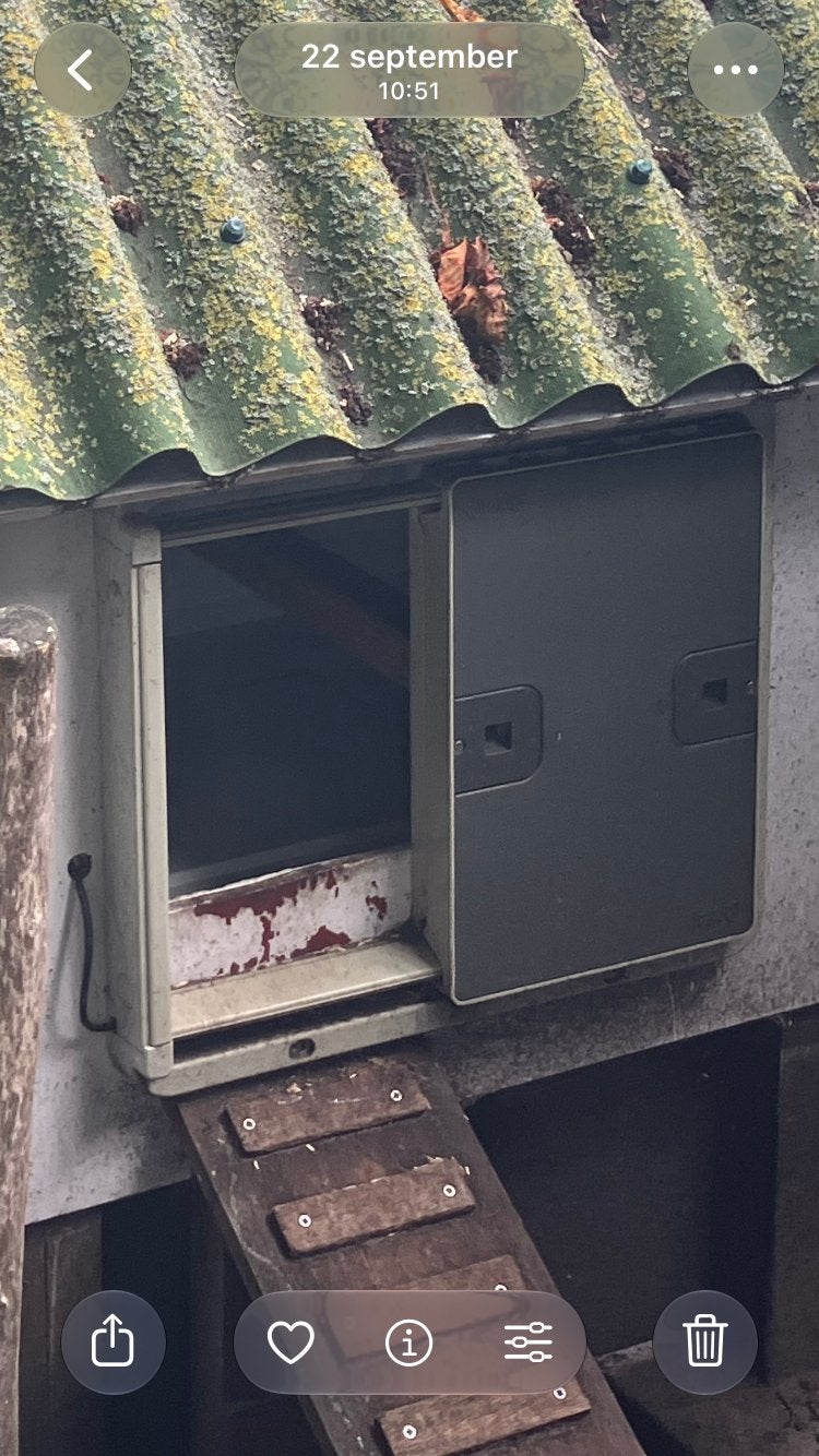 Kippenhok Omlet automatische deursluiter, Ophalen of Verzenden, Kippenhok of Kippenren