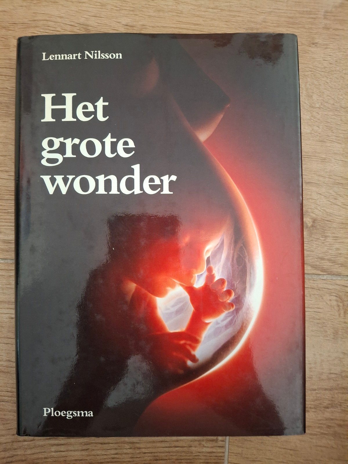 Nilsson - het grote wonder, Ophalen of Verzenden, Zo goed als nieuw, Nilsson, 3 tot 4 jaar