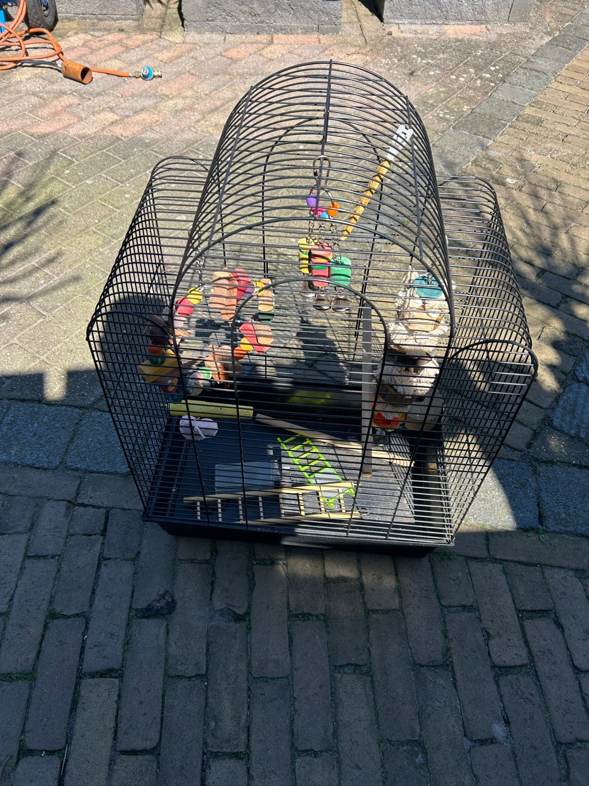 Vogelkooi met accessoires, Ophalen, Zo goed als nieuw, Metaal, Vogelkooi