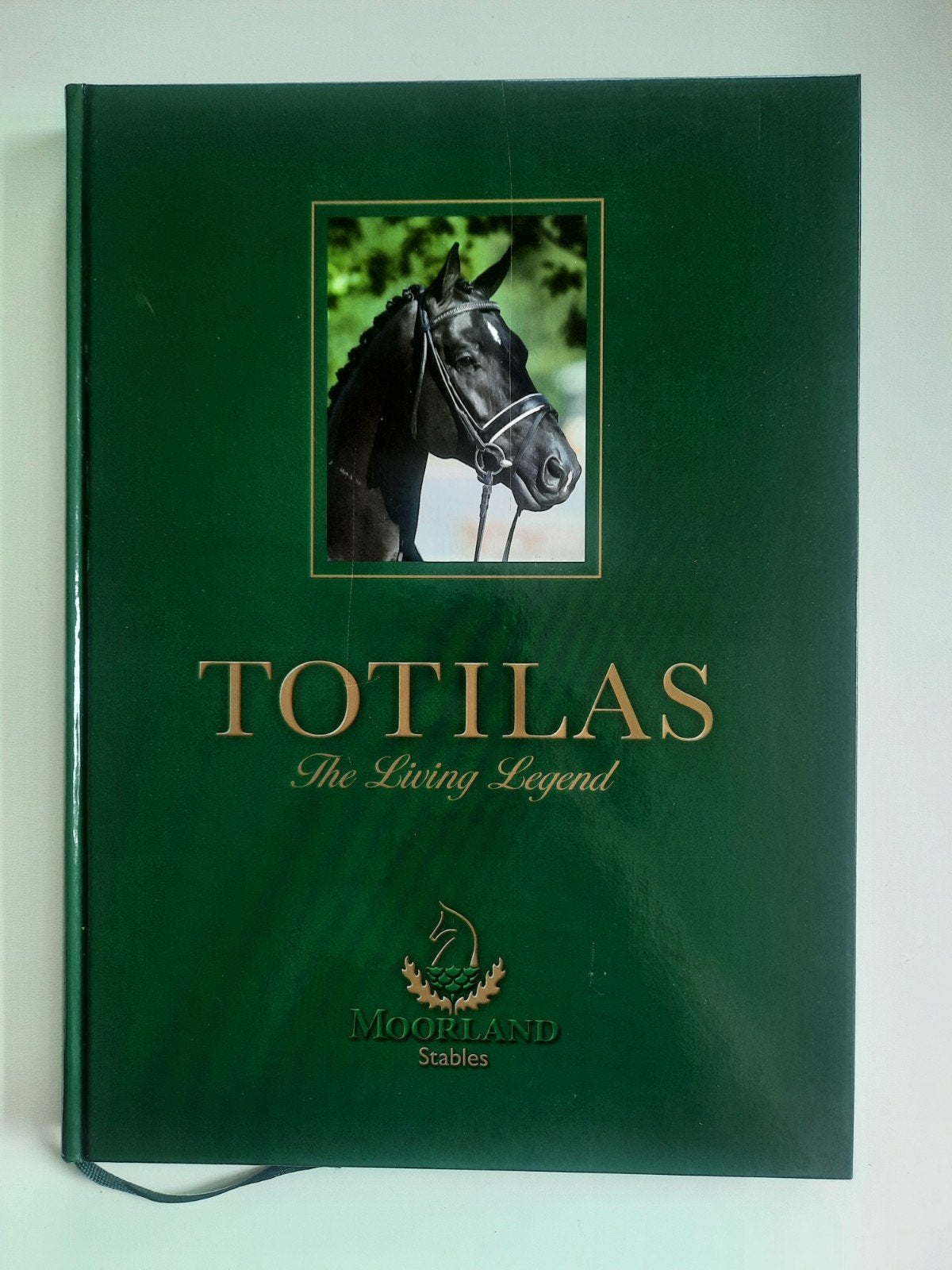 Totilas The Living Legend . Jacob Melissen, Ophalen of Verzenden, Zo goed als nieuw, Paarden of Pony's, Jacob Melissen