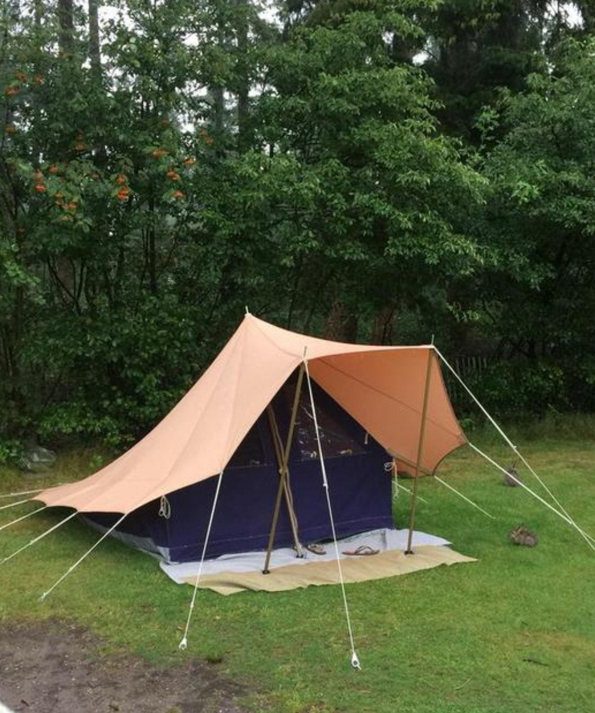 De Waard Dwergstern, Caravans en Kamperen, Tenten, Ophalen, Zo goed als nieuw, Tot en met 2