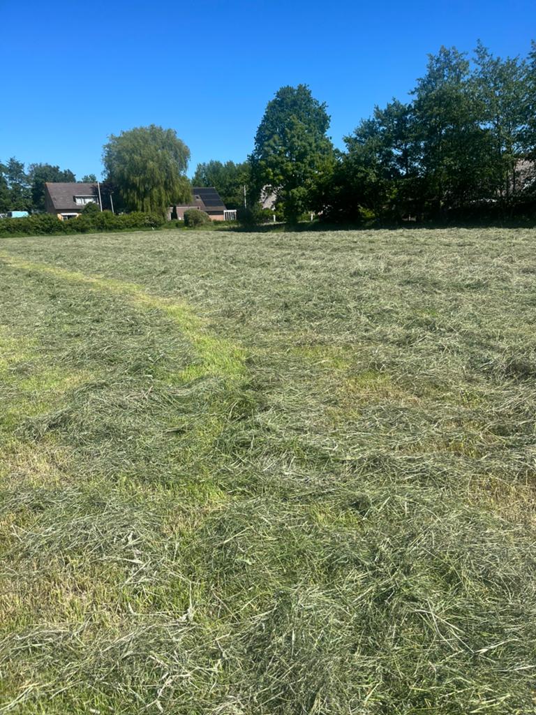 Paarden hooi 1ste snee