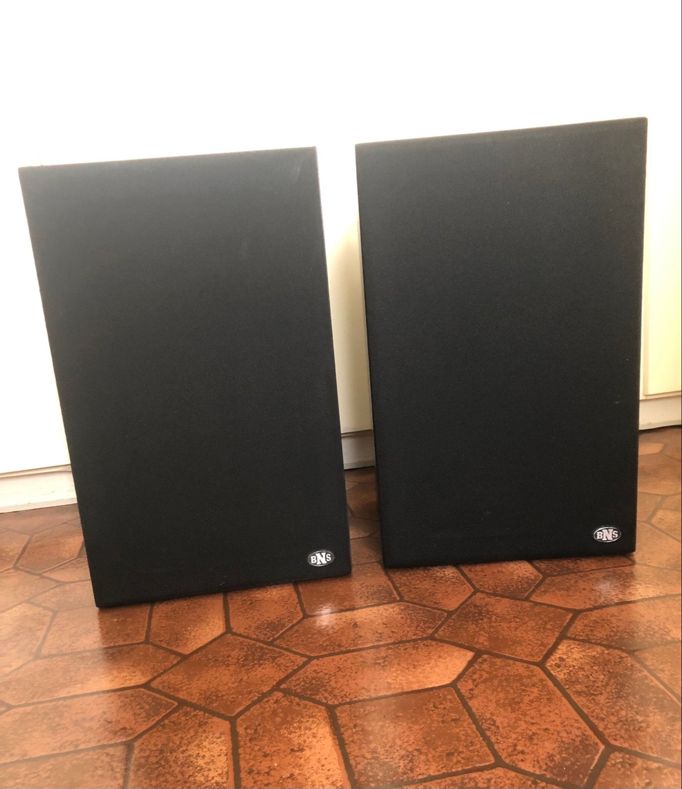 BNS E12 S Boekenplank Luidsprekers, Audio, Tv en Foto, Luidsprekers, Gebruikt, Minder dan 60 watt, Boekenplank luidspreker, Ophalen