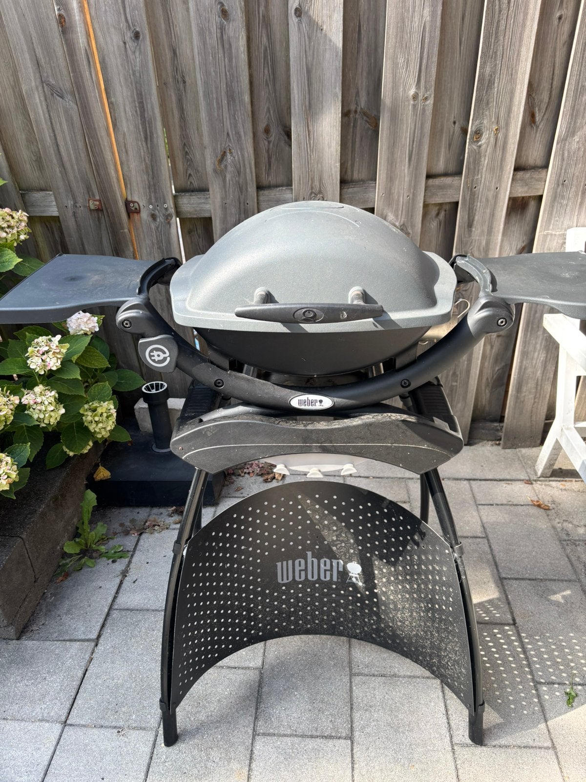 Weber Q1400 elektrische barbecue met weber  beschermhoes, Ophalen, Gebruikt