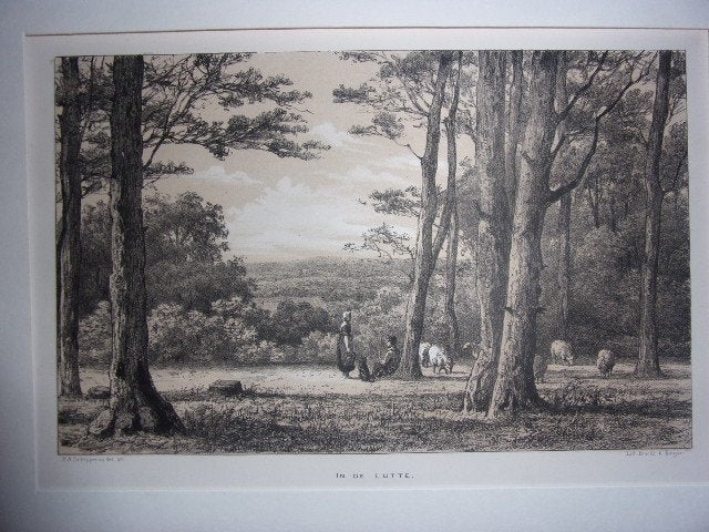 In de Lutte. Originele Getinte Litho Schipperus 1876, 1800 - 1899, Met tekst, 22 cm, Ophalen of Verzenden