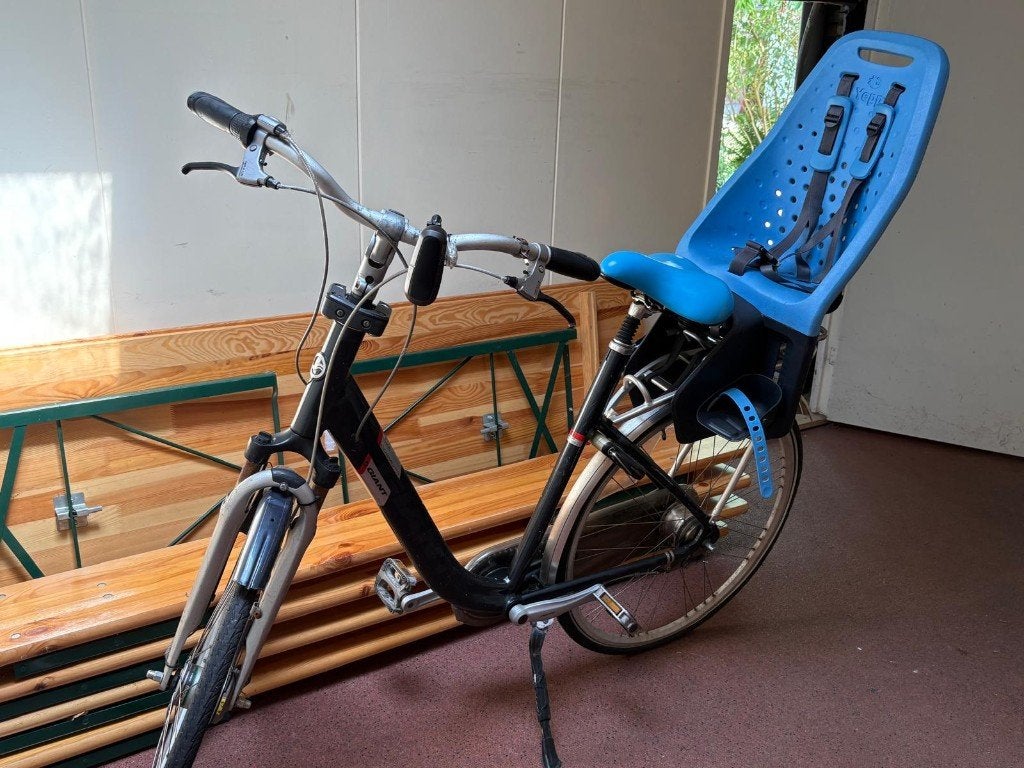 Giant Cosmo CS3 damesfiets met kinderzitje, Ophalen, Velgrem, Versnellingen, Giant