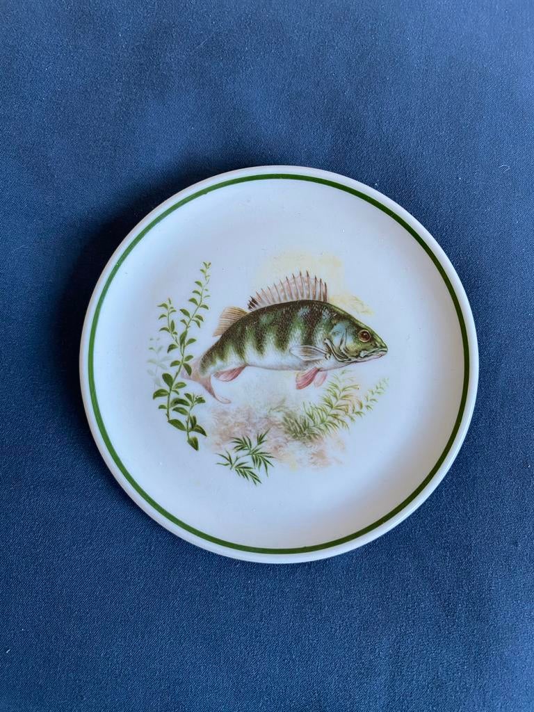 Vintage Thiersheim Bavaria Porselein karper Vis bordje, Antiek en Kunst, Antiek | Wandborden en Tegels, Ophalen of Verzenden