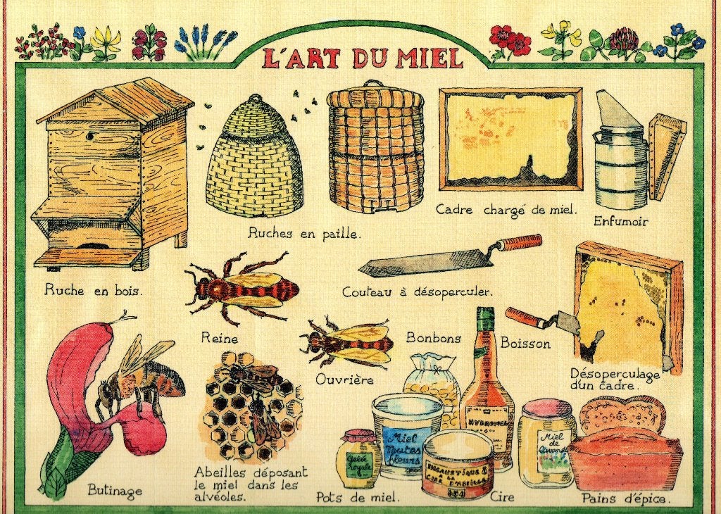 Grote Kaart Honingbereiding Bijen Kasten Korven Producten., Verzamelen, Ansichtkaarten | Dieren, Ophalen of Verzenden, 1980 tot heden
