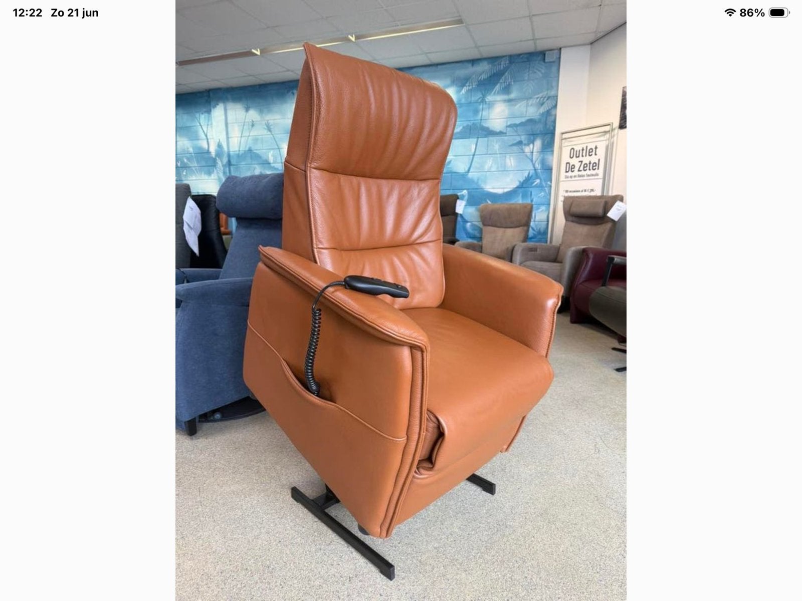 Wales De Toekomst sta op stoel relax fauteuil gratis bezorgd, Ophalen of Verzenden, Nieuw, Leer, Ruim 100 fauteuils in alle kleuren en maten