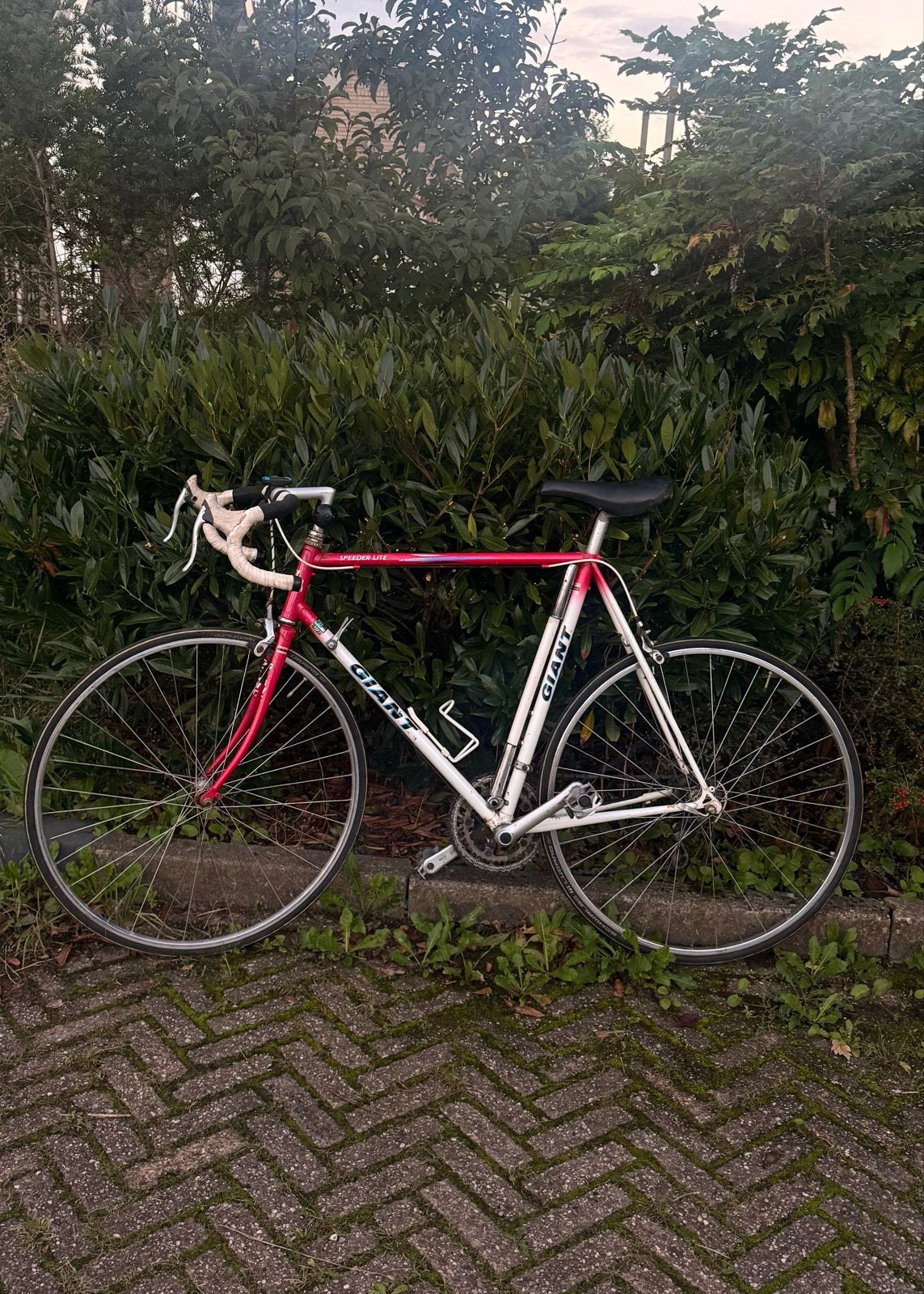 Giant Speeder Lite Vintage Racefiets - Roze/Wit - 60 cm, Ophalen, Gebruikt, Giant, 57 tot 61 cm