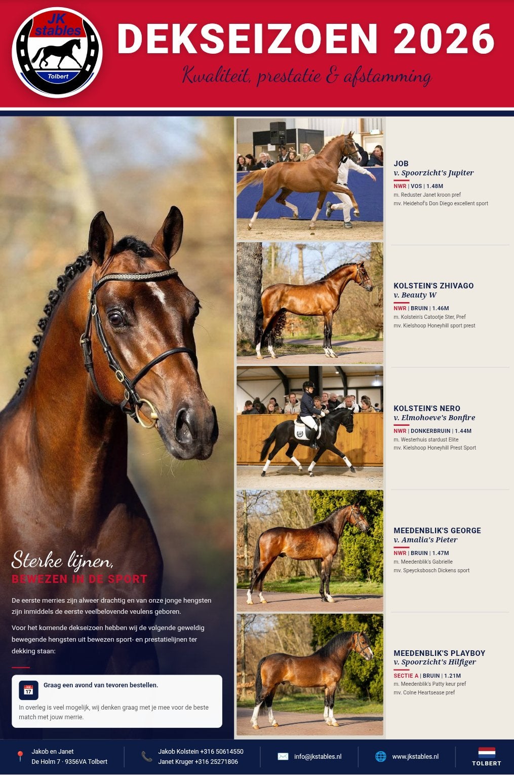 Jonge welsh NWR /WPBR pony’s, Dieren en Toebehoren, Met stamboom, Dressuurpony, Niet van toepassing, 0 tot 2 jaar