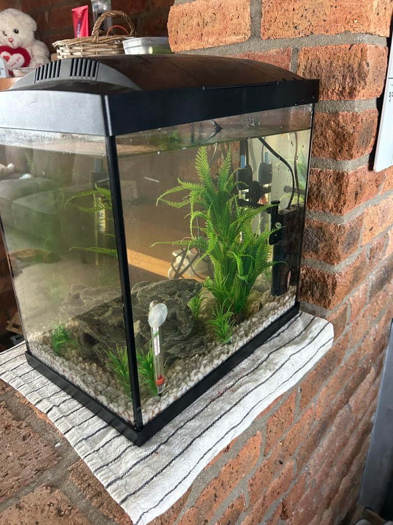Kleine aquarium met visjes en accessoires., Ophalen, Inclusief vissen, Superfish, Gevuld zoetwateraquarium