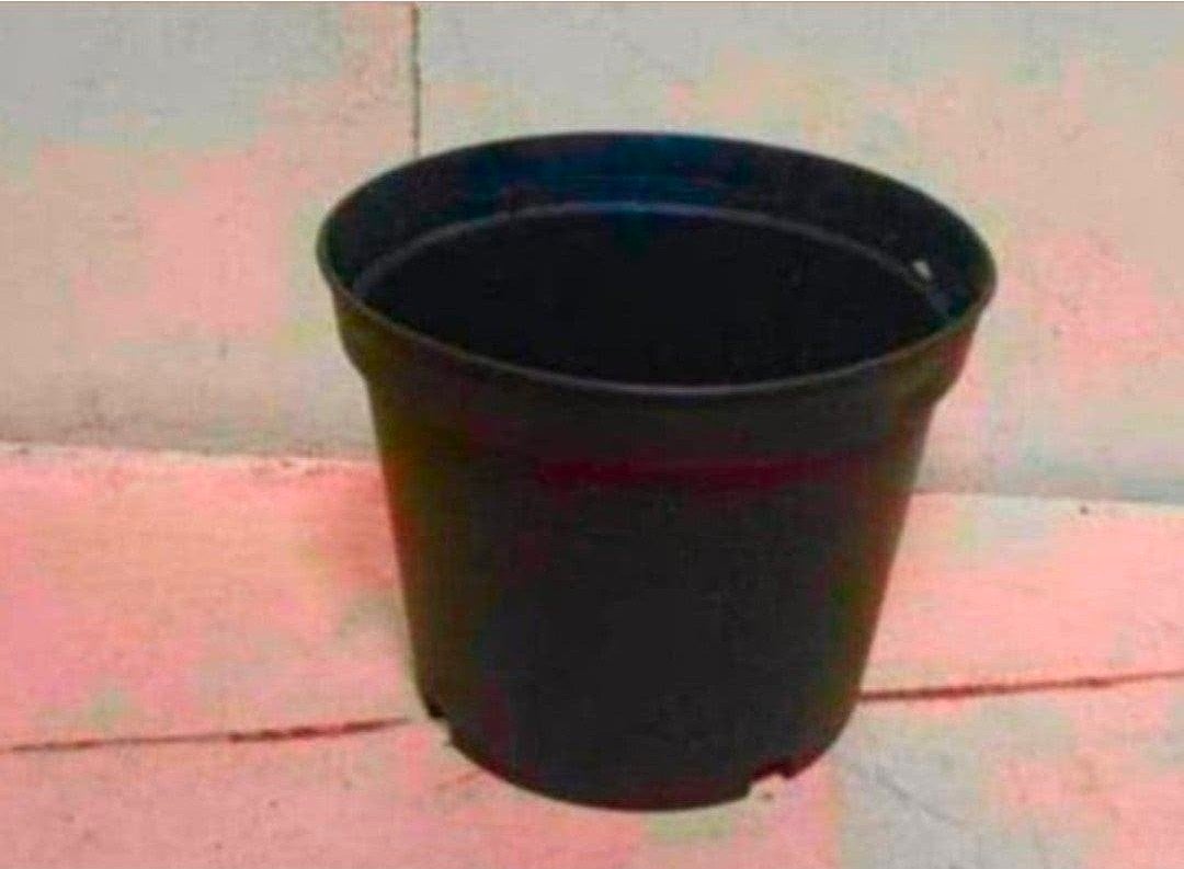 diverse kweekpotten plantenpotten bloempotten 2 liter, Gebruikt, Ophalen of Verzenden, Nvt, Nvt