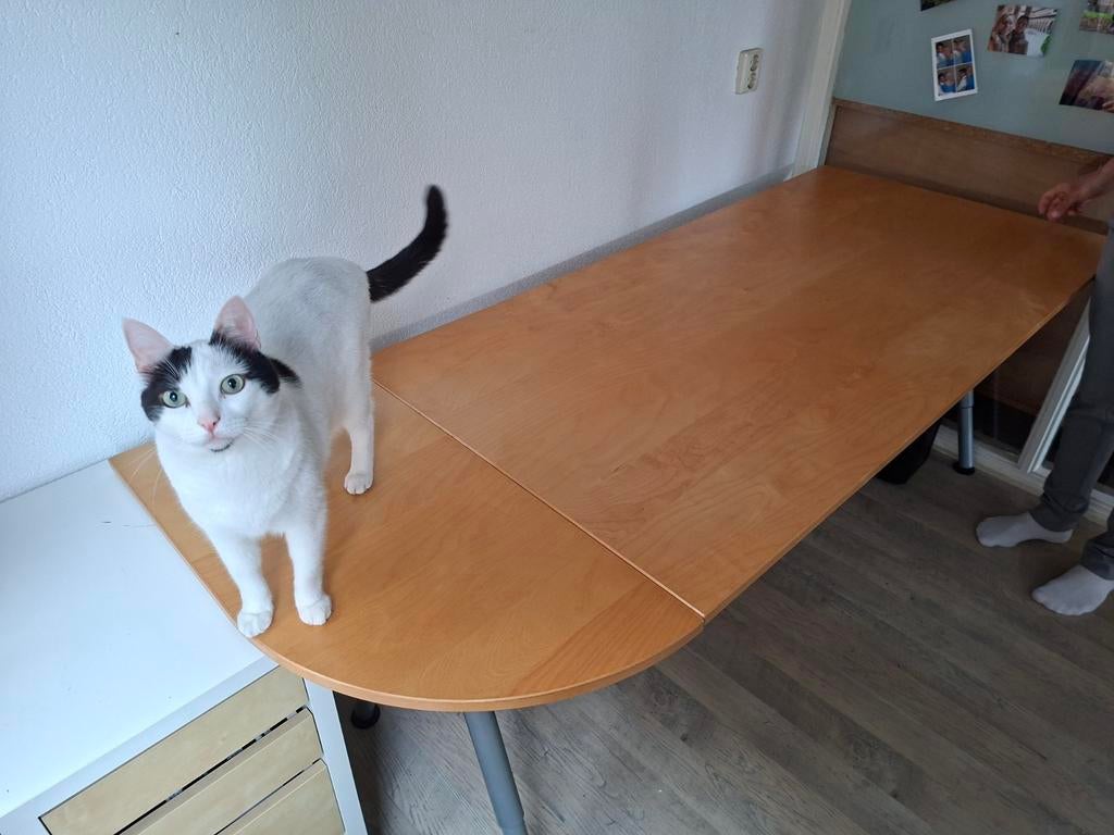 Ikea Galant bureau, verstelbaar (80 × 160 / 180), Huis en Inrichting, Bureaus, Ophalen, Gebruikt