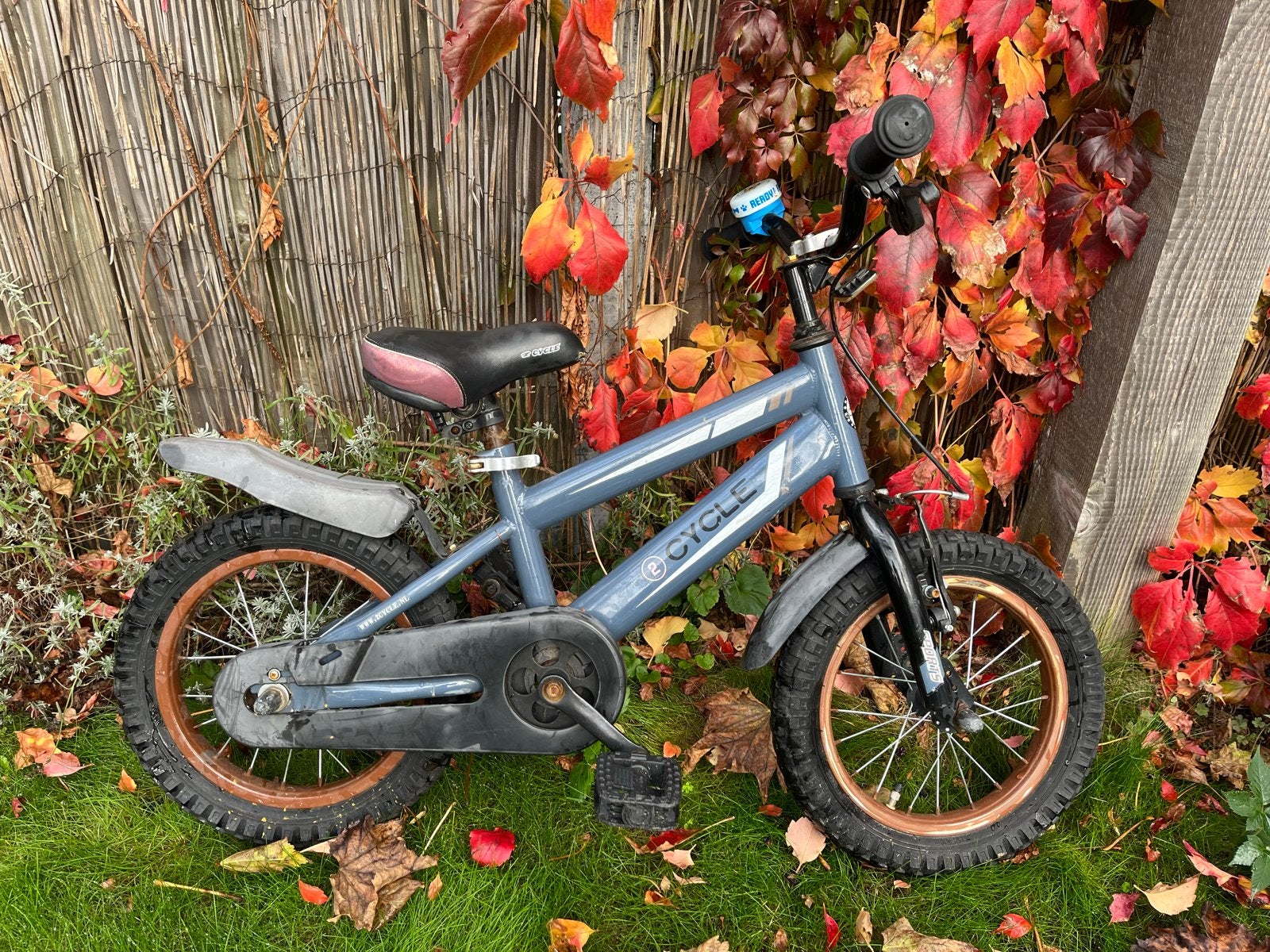 Kinderfiets 2Cycle - Grijsblauw met koperkleurige velgen, Ophalen, Gebruikt, Terugtraprem, Minder dan 16 inch