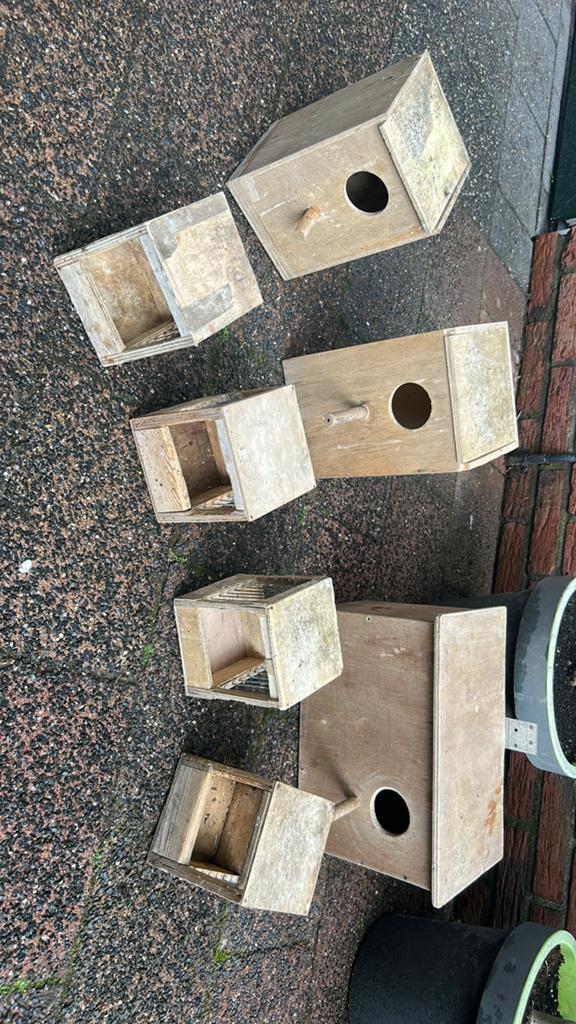 Nestblokken, Dieren en Toebehoren, Vogels | Hokken en Kooien, Ophalen, Gebruikt, Hout, Vogelkooi