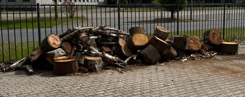 Brandhout plusminus 5 a 6m3 eiken berk elzen mix, 3 tot 6 m³, Ophalen, Eikenhout, Blokken