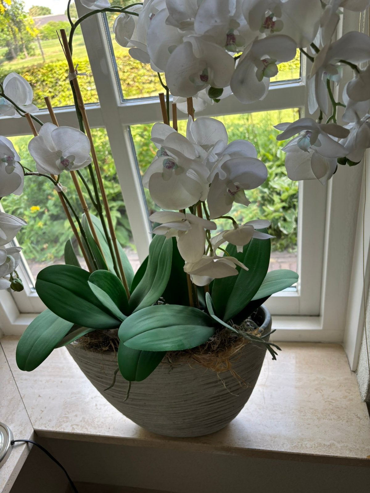 Bloempotten, Huis en Inrichting, Ophalen, Halfschaduw, Minder dan 100 cm
