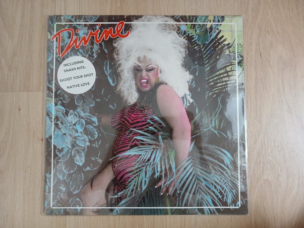 Lp Divine, LP, Gebruikt, Ophalen of Verzenden, 12 inch