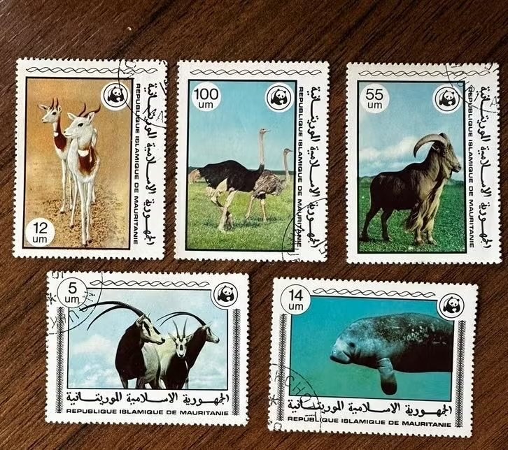 Mauritanië 1978 Dieren vogels gestempeld, Postzegels en Munten, Ophalen of Verzenden, Overige landen, Gestempeld