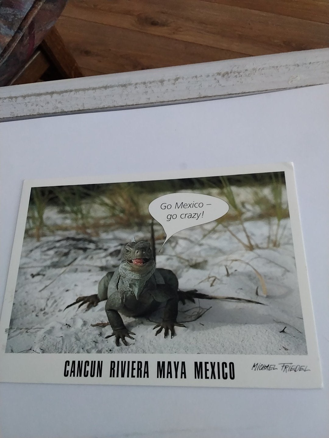 Ansichtkaart Mexico - Cancun Riviera Maya - Leguaan, Ophalen of Verzenden, 1980 tot heden