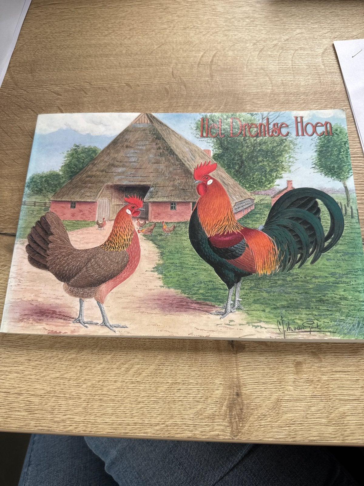 Het Drentse Hoen - Boek over kippenras, Ophalen of Verzenden, Zo goed als nieuw, Overige onderwerpen