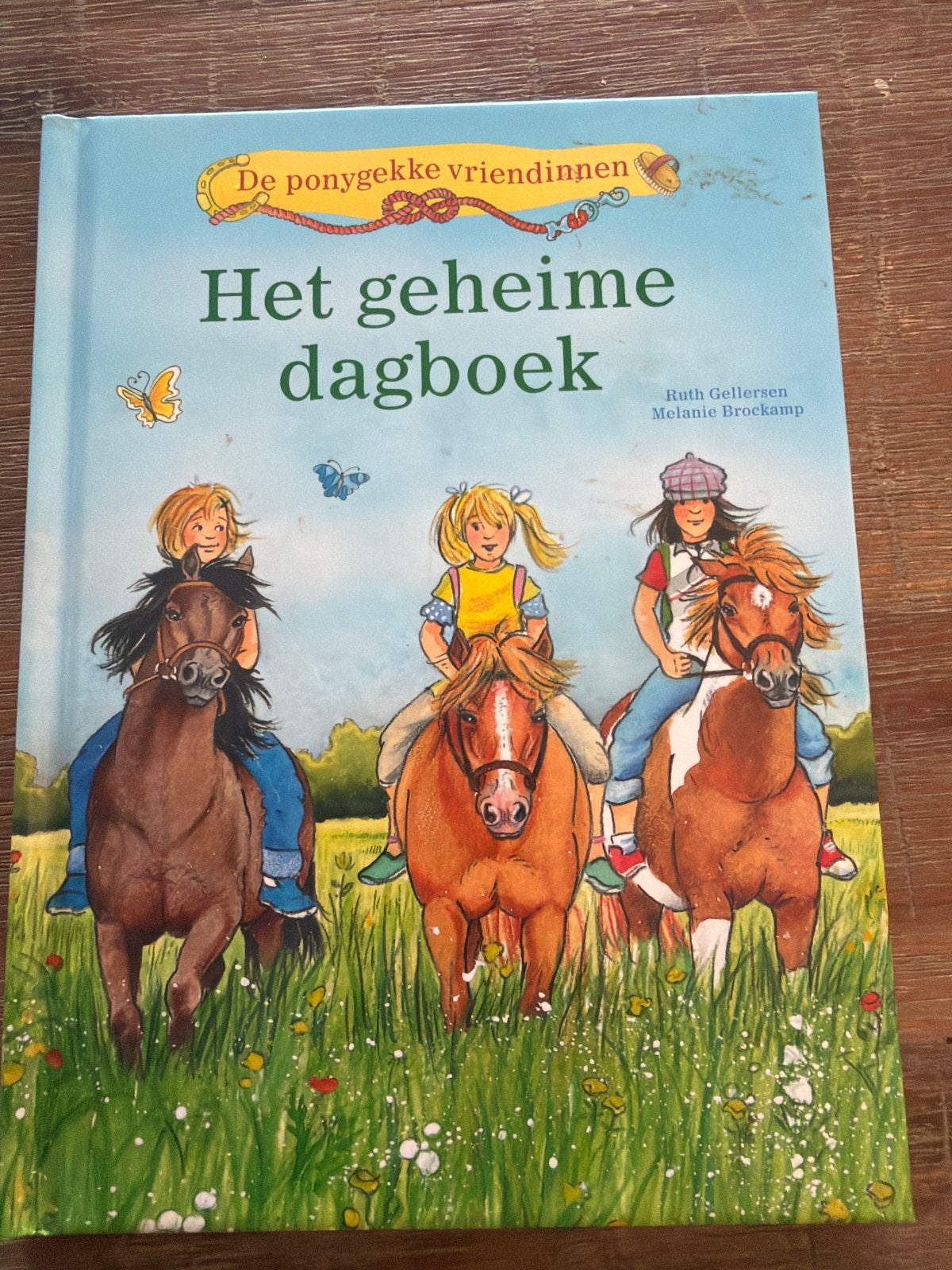 De ponygekke vriendinnen: Het geheime dagboek, Boeken, Ophalen, Gelezen, Fictie
