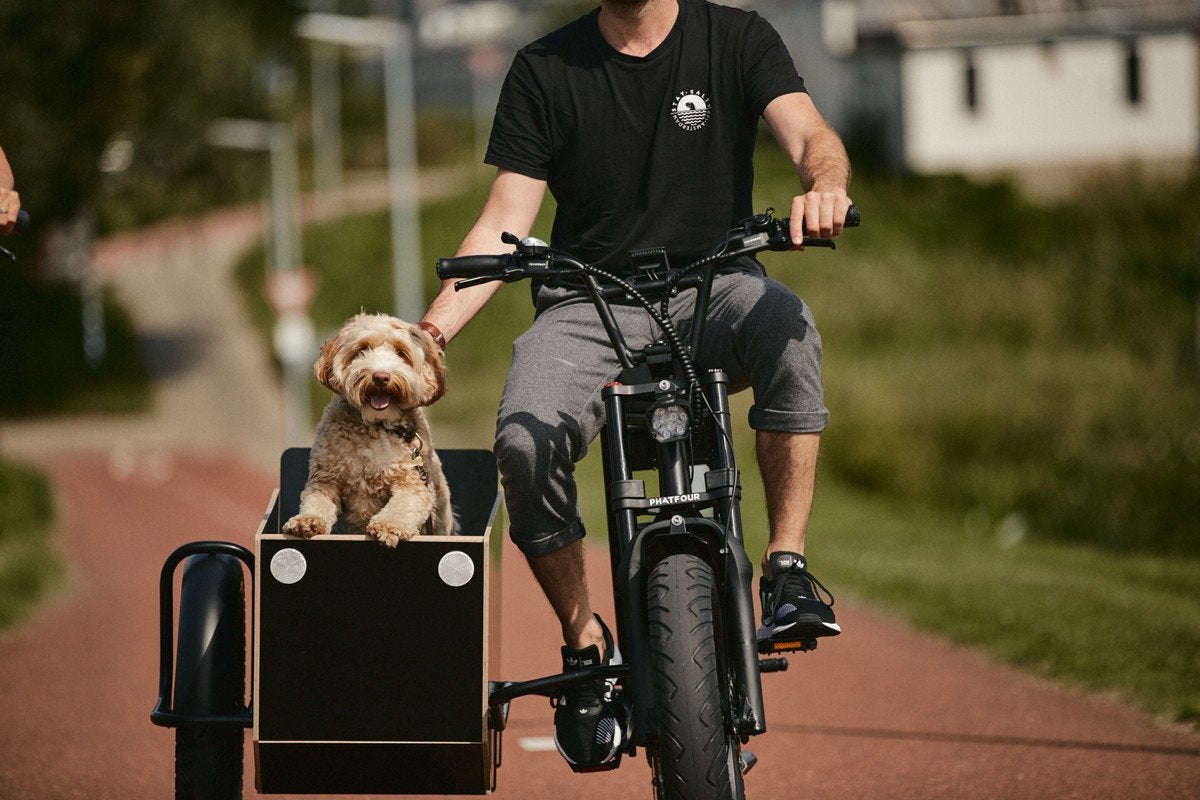 Phatfour Zijspan - Ideaal voor hond, kind of bagage, Fietsen en Brommers, Ophalen, Zo goed als nieuw, Overige typen, 40 tot 60 kg