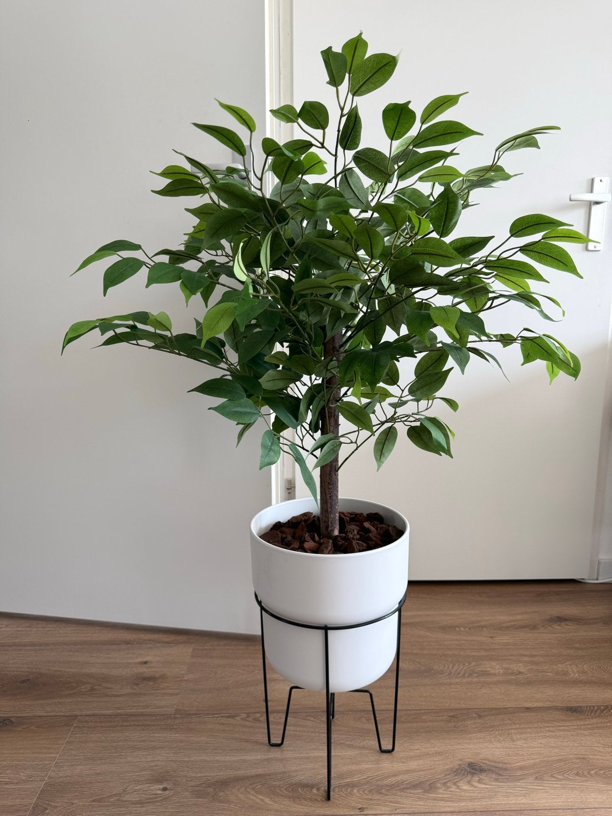 Kunstplant Ficus in witte pot met standaard, Ophalen, Binnen, Groen, Kunstplant