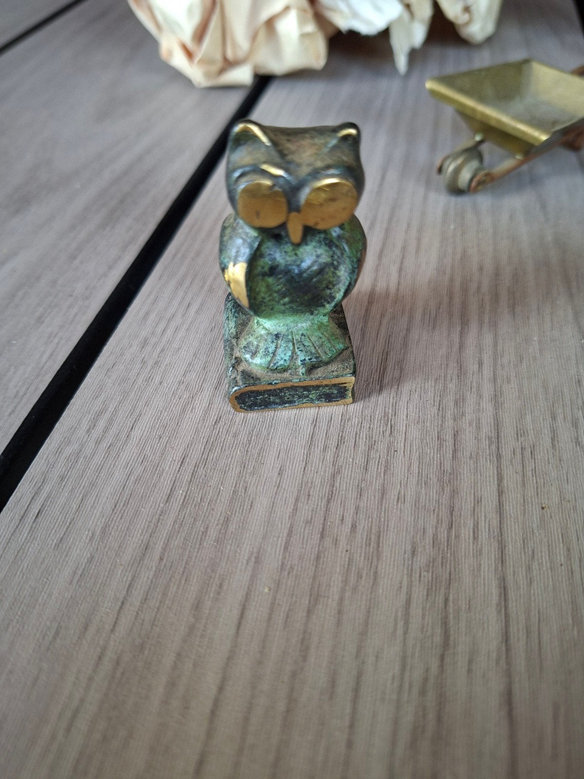 wijze bronzen uil op een boek, Ophalen
