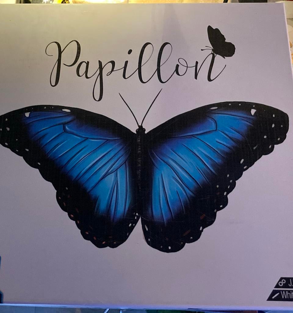 Papillon bordspel, Een of twee spelers, Ophalen of Verzenden, Zo goed als nieuw