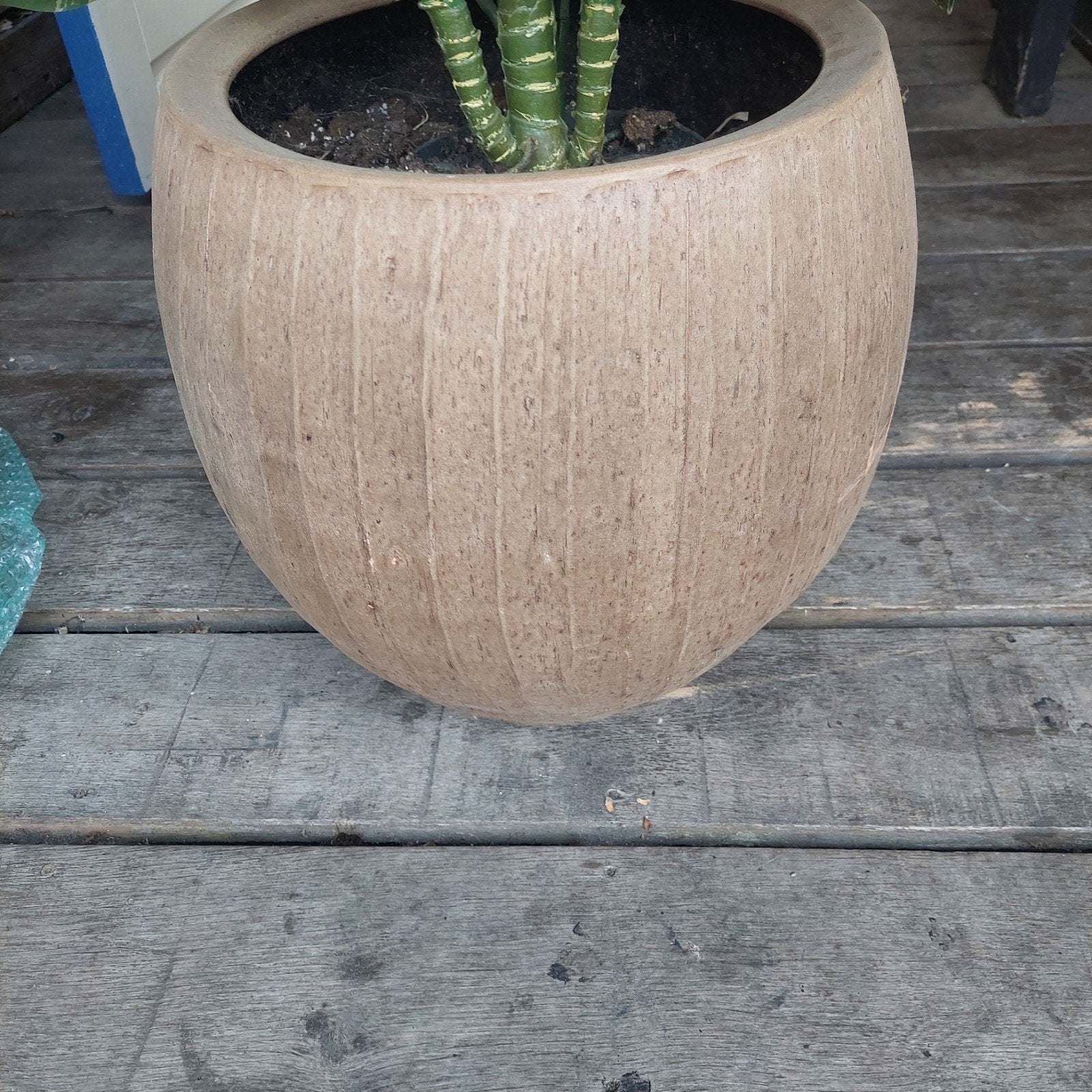 Grote kunstplant in aardewerken pot, Ophalen, 40 cm of meer, Rond, Zo goed als nieuw