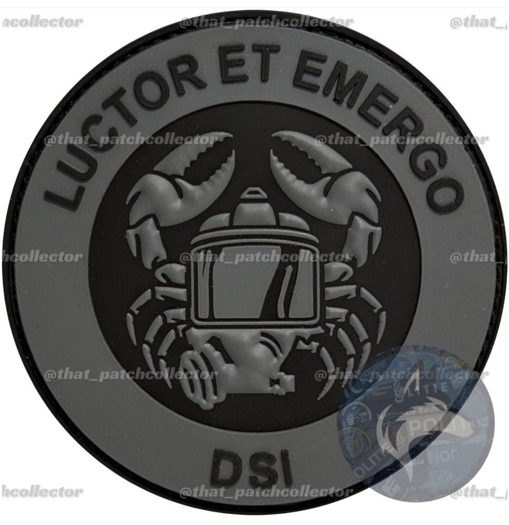 Gezocht & te ruil DSI - embleem pin coin schildje t-shirt, Ophalen of Verzenden, Overige soorten, Nederland, Embleem of Badge