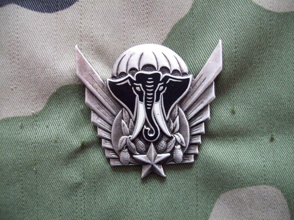 Embleem/parawing Ivoor kust (Afrika), Verzamelen, Militaria | Algemeen, Verzenden, Landmacht, Overige gebieden, Embleem of Badge