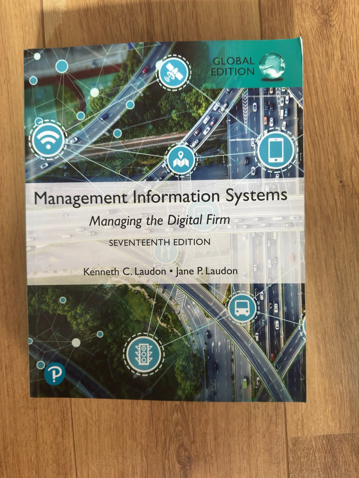 Management Information Systems - Hotelschool, Ophalen of Verzenden, Zo goed als nieuw, Management