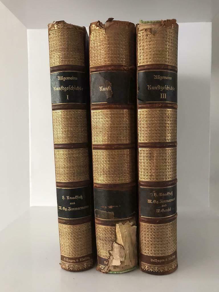 Algemeine Kunstgeschichte door knackfuss und Zimmermann, Ophalen of Verzenden, Gelezen