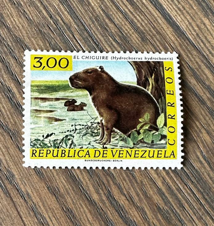 Venezuela 1963 capibara dieren ongebruikt, Ophalen of Verzenden, Zuid-Amerika