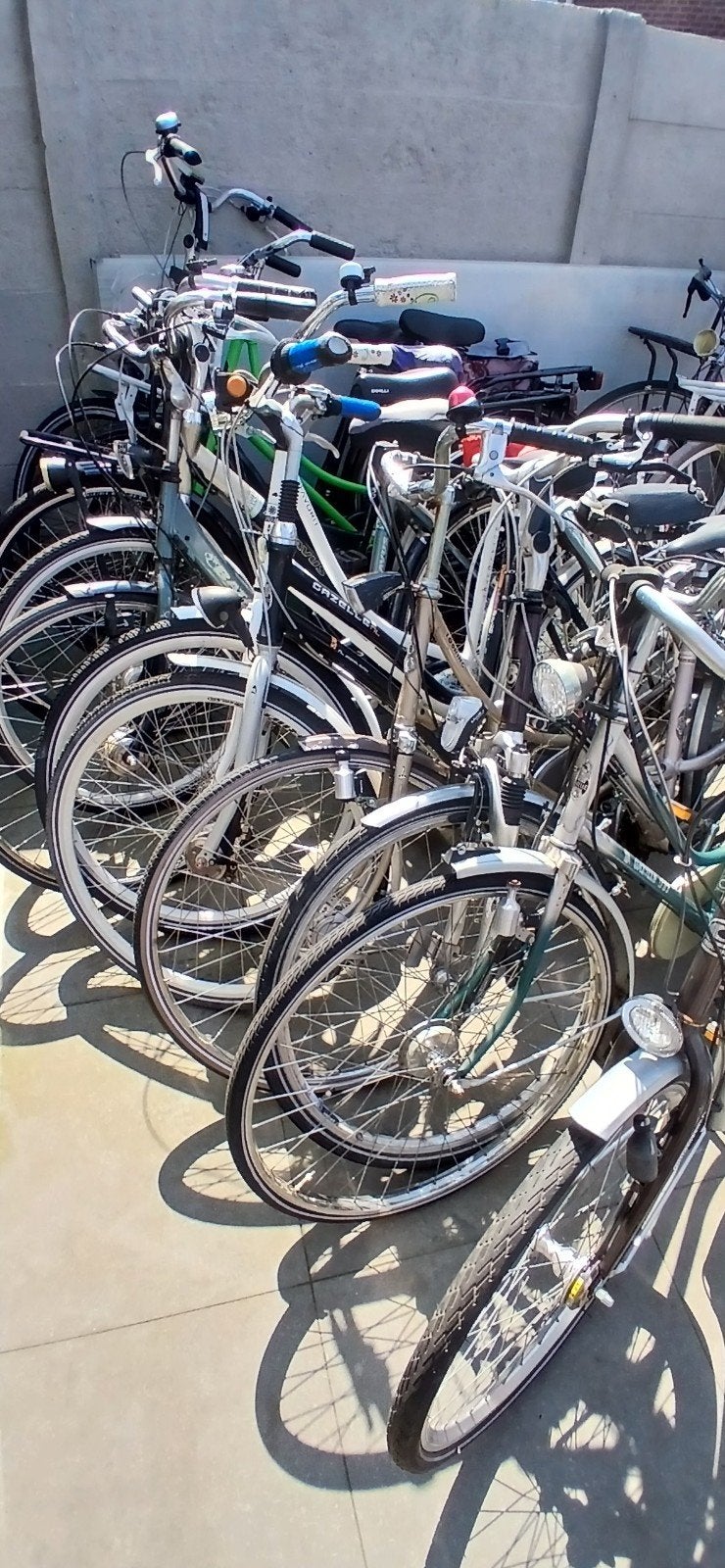 Damesfietsen, Fietsen en Brommers, Fietsen | Dames | Damesfietsen, Gebruikt, Versnellingen, 50 tot 53 cm, Ophalen