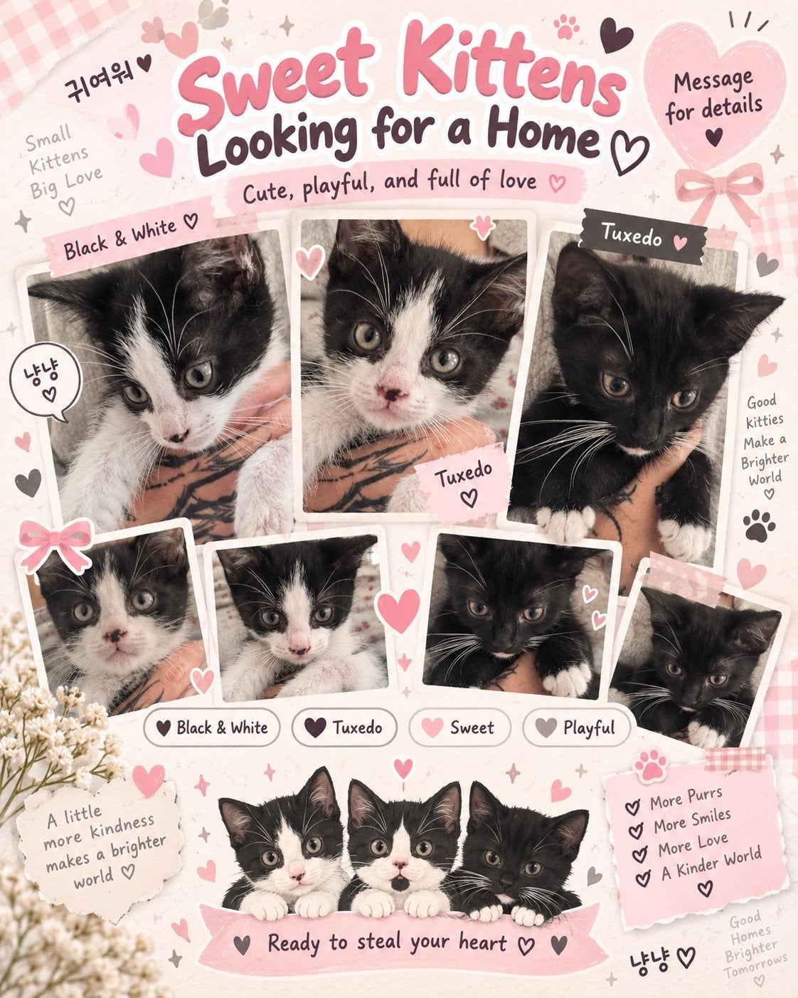 4 schattige kittens te koop, Geslacht onbekend, Kortharig, 0 tot 2 jaar